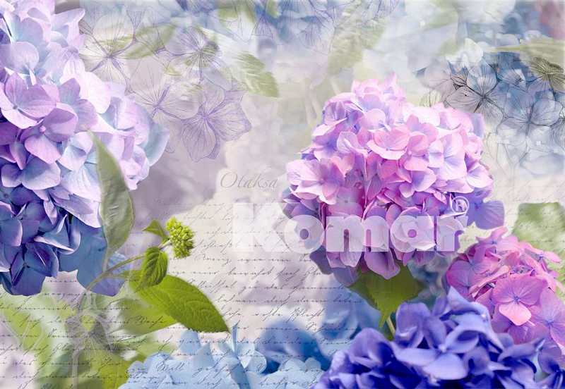 Komar Fototapete, OTAKSA, 8 teilig, 368 x 254cm, weiß rosa Hortensien